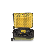 STRIPE 55cm *Available 15th May